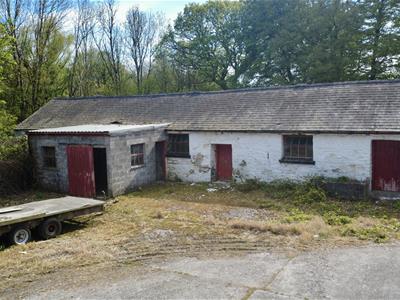 Picture 20